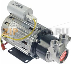 MOTOR/PUMP CIRC 230/115 50/60 HZ ENERGY 