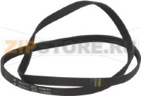 BELT HUTCHINSON 1105 J5