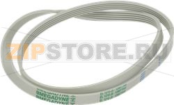 BELT 1210 J5 EL POLYURETHANE 