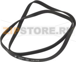 BELT HUTCHINSON 1151 H5 EL 