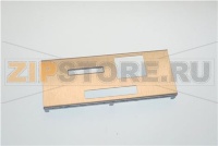 COIN INTRODUCTION PLATE