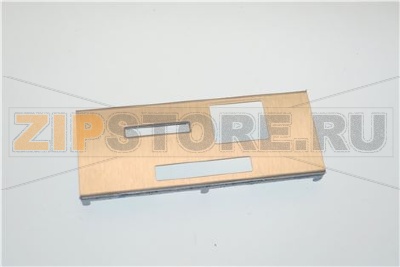 COIN INTRODUCTION PLATE 