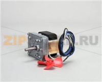 MOTOR,GEAR/CW, 208/240V
