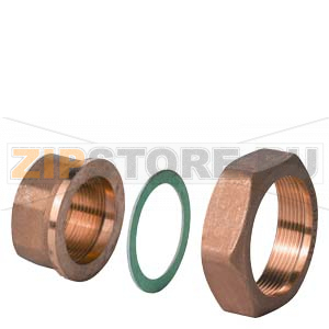 ALG502B - Латунный фитинг G 2 &amp;#190;&quot; / Rp 2&quot;, 100 &amp;#176;C, комплект из 2 Siemens ALG502B 