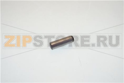 PERNO ALBERO              PLT10 