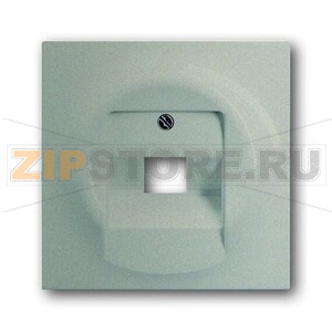 Накладка для однопостовой розетки с полем для надписи ABB 2CKA001753A8998 