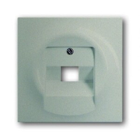 Накладка для однопостовой розетки с полем для надписи ABB 2CKA001753A8998