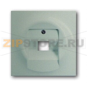 Накладка для однопостовой розетки с полем для надписи ABB 2CKA001753A8998 