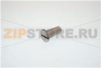 PERNO INOX CERNIERE PORTE CT