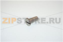 PERNO INOX CERNIERE PORTE CT 
