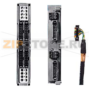 SIMATIC S7-300, ФРОНТ. СОЕДИНИТЕЛЬ SIMATIC TOP CONNECT ДЛЯ МОДУЛЕЙ ВЫВОДА ДИСКР. СИГНАЛОВ (ДО 2А НА КАНАЛ), ПОДКЛ. ВНЕШНИХ ЦЕПЕЙ ВИТЫМ ЛЕНТОЧНЫМ КАБЕЛЕМ, ПОДКЛ. ПИТАНИЯ ЧЕРЕЗ ТЕРМИНАЛЬНЫЙ БЛОК С КОНТАКТАМИ-ЗАЩЕЛКАМИ Siemens 6ES7921-3AC00-0AA0 