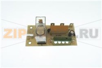 PICCO (NO!SQUADRETTA) SELMO(ROHS)