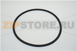 GUARNIZIONE SCHIENALE NX4C 