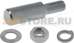 Bolzen fur Turscharnier   7mm L 25mm Gew 