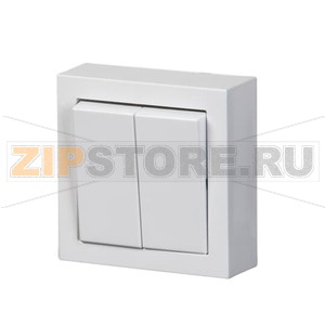 Переключатель двухклавишный, монтаж: накладной, белый ABB 2TKA00001843 