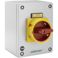 Переключатель кулачковый 80 А, 1x90°, 1 шт Sälzer H408-41300-987M4