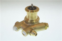 POMPA VOLUMETRICA ROTOFLOW ø 3/8 GAS