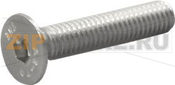 VITE A TESTA SVASATA PIANA M6x30 