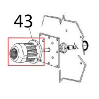Motor Angelo Po FC241G