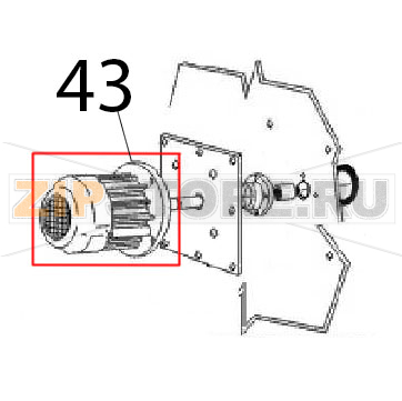 Motor Angelo Po FC241G Motor Angelo Po FC241GЗапчасть на деталировке под номером: 43