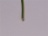 Wire 2,5 mm²   green/yellow (meter ware)