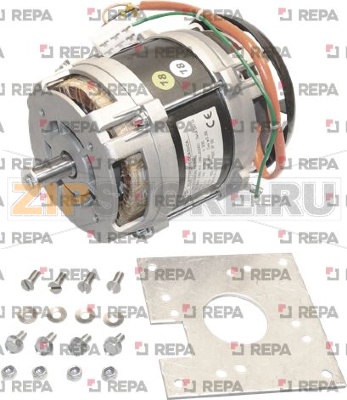 MOTORE; 230V 50 HZ 3P ; EQ NM BPO25/45 