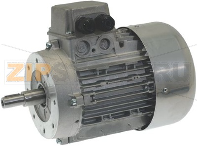 MOTORE SO 1650 ANOD ENTRY 230V 60Hz 