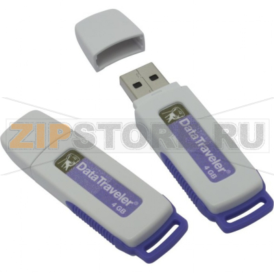 Накопитель USB 4 Гб Kingston DTI-4GB-2P 
