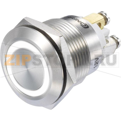 Кнопка 48 В/DC, 3 А, 1 x вкл/вкл, без фиксации, IP65, 1 шт TRU Components GQ19F-10E/W/12V/S 