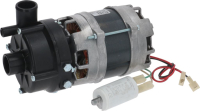 ЭЛЕКТРОНАСОС AP 904SX 0.20HP
