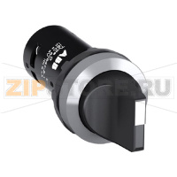 Переключатель C2SS1-30B-20 ABB 1SFA619200R3026