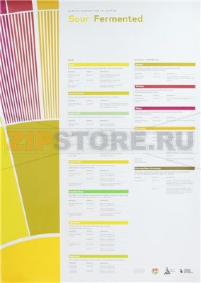 FLAVOR PERCEPTION IN COFFEE - SOUR FERME 