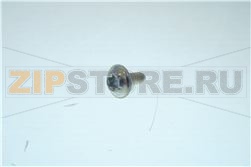 SCREW ALO.T25 AR.18ESTR.M 4X10 