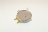 ANTENNA MOTOR
