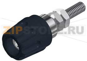 Разъем 4 мм, черный Hirschmann PK 10 A BLACK 