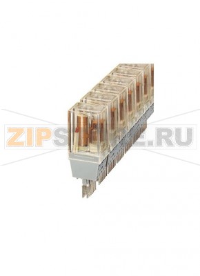 Штекерный модуль с круглым миниреле Hengstler Phoenix Contact ST-REL4-HG 24/21-21 материал контактов AgCdO+Au: для коммутации различных нагрузок (от небольших до больших), 2 переключающих контакта, входное напряжение 24 В постоян. тока, со световым индикатором, устанавливается на блоки базовых клемм.Минимальный заказ: 10 шт.Упаковка: 10 шт.