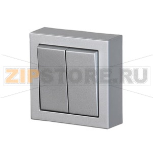 Переключатель двухклавишный, монтаж: накладной, алюминий ABB 2TKA00001845 