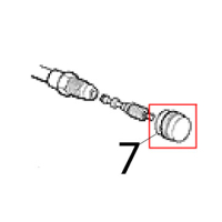 Cap Scotsman B 31