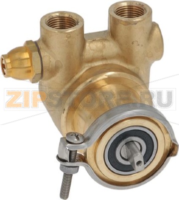 VOLUMETRIC PUMP ROTOFLOW ø 3/8 GAS 