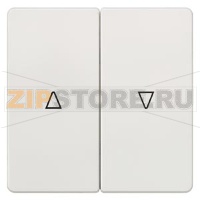 DELTA I-SYSTEM ТИТАНОВО-БЕЛЫЙ ВЫКЛЮЧАТЕЛЬ ЖАЛЮЗИ 2 КЛАВИШИ С СИМВОЛОМ "ВВЕРХ/ВНИЗ" 55X55MM Siemens 5TG6214