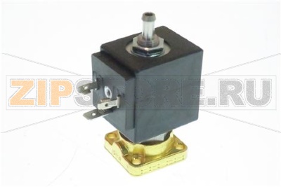 SOLENOID 2 WAY  110V 