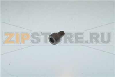 VITE 5x8 INOX 