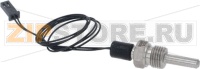 BOILER TEMPERATURE PROBE G1/4M