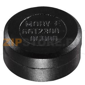 MOBY E; МОБИЛЬНЫЙ НАКОПИТЕЛЬ ДАННЫХ MDS E623, ТАБЛЕТКА, ЭСППЗУ ЕМКОСТЬЮ 752 БАЙТА, ДЛЯ МОНТАЖА ЗАПОДЛИЦО В МЕТАЛЛЕ, IP 67, ОТ -25 ДО +85 ГРАД/C, D=10 X 4,5 MM В СООТВЕТСТВИИ С DIN 69873 Siemens 6GT2300-0CD00 