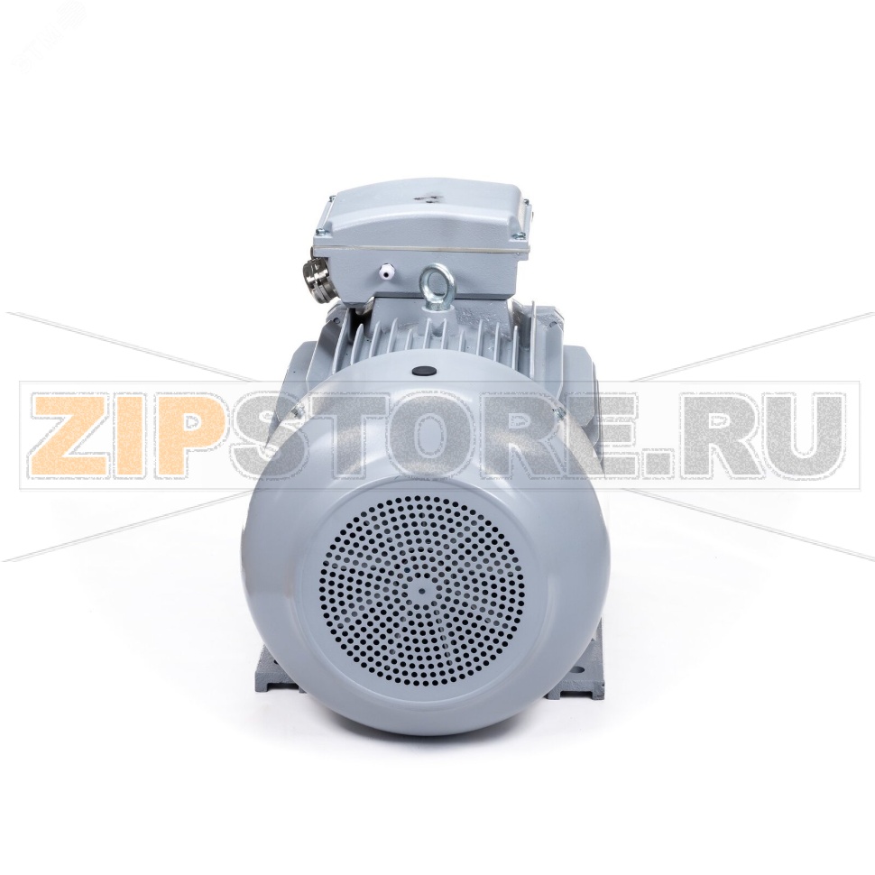 Электродвигатель 22 кВт, 380/660 В, 3000 об/мин, IP55 ESQ 01.05.02.000089 