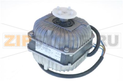 MOTOR 5W 115V 60Hz 