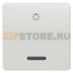 DELTA PROFIL ТИТАНОВО-БЕЛЫЙ ВЫКЛЮЧАТЕЛЬ 1 КЛАВИША С СИМВОЛОМ &quot;СВЕТ&quot; И ПОЛЕМ ДЛЯ НАДПИСИ Siemens 5TG7806 