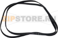 BELT HUTCHINSON POLY V 1900J5