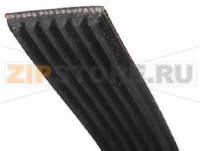 COURROIE 1856H8 ELAST.MODIF 421307851962