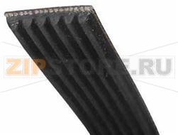 COURROIE 1856H8 ELAST.MODIF 421307851962 